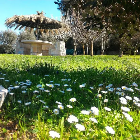Trulli And Light * Martina Franca